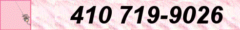 hypbanner.gif (34656 bytes)