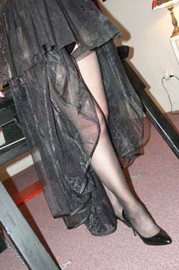 legs01.jpg (27761 bytes)